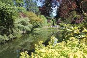 38 - Butchard Gardens  - IMG_1620